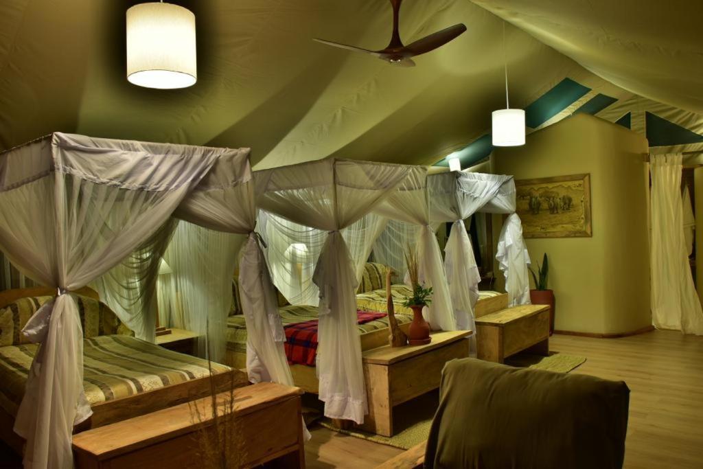 Mara Maisha Camp Talek Extérieur photo